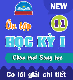 Ôn tập Học kỳ I (CTST_HH11)